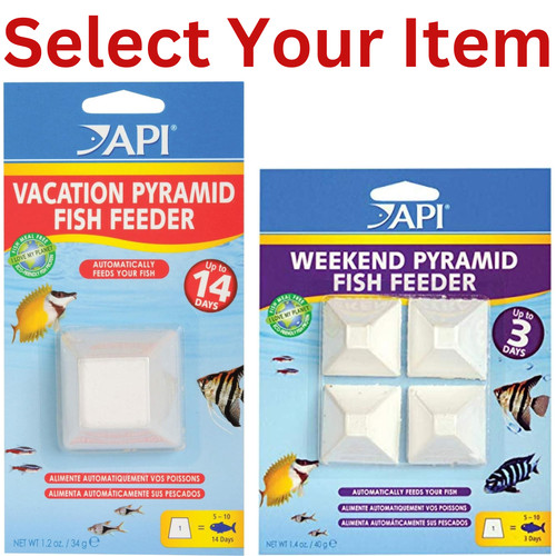 Vacation fish food - vacation,