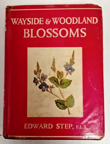 Wayside woodland blossoms - &,