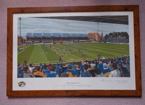 Leeds rhinos league limited - rhinos,