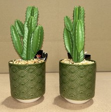 2 x 23cm Artificial Cactus