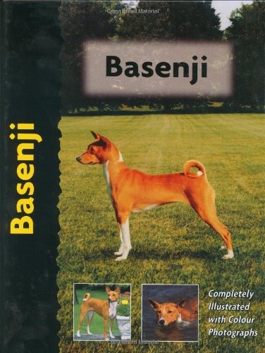 Basenji - , (petlove