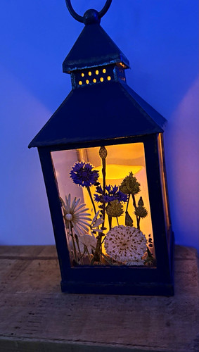 Blue painted floral lantern - blue,, floral,