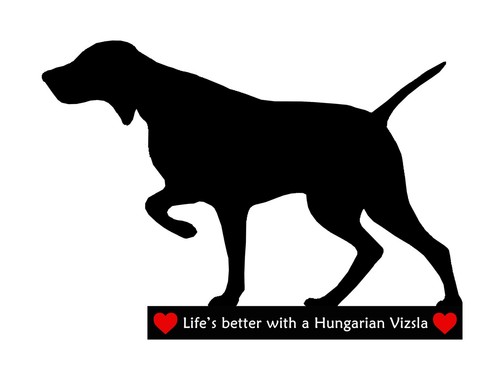 Hungarian vizsla dog flexible - vizsla,