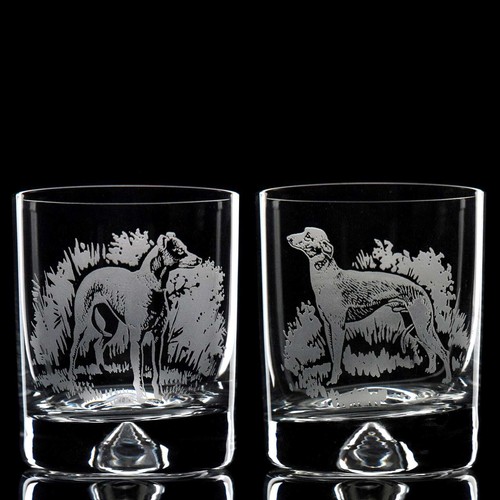 Whippet dog whiskey tumbler - dog,