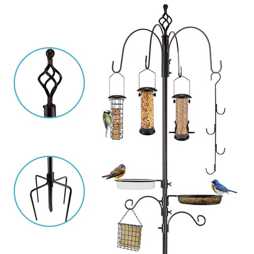 Wild bird feeding - bird, kit