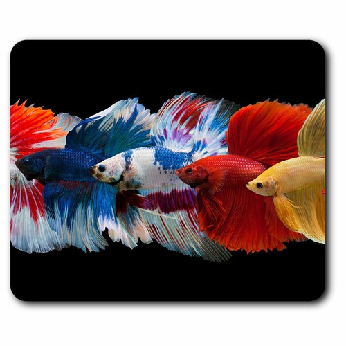 Computer mouse mat siamese - mouse,