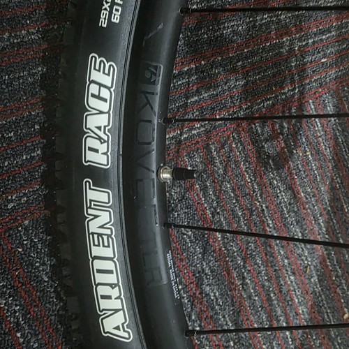 Trek marlin gen front - 3, 29"