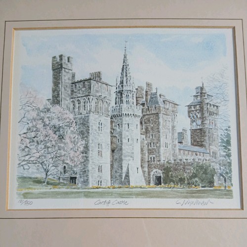 Signed glyn martin cardiff - signed,