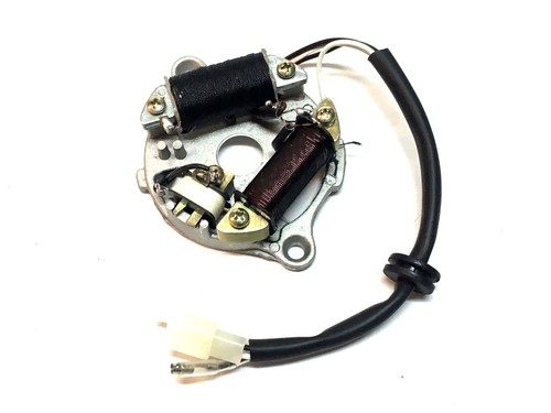 Stator rotor assembly for - stator,