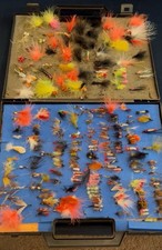 Wonderful Collection Of 250 Plus Wet And Dry Flies In Plastic 2 Tier Case