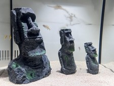 Aquarium Easter Island Stone