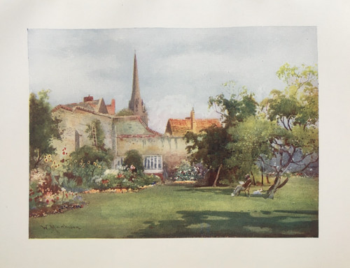 Milton mulberry tree at - milton's,