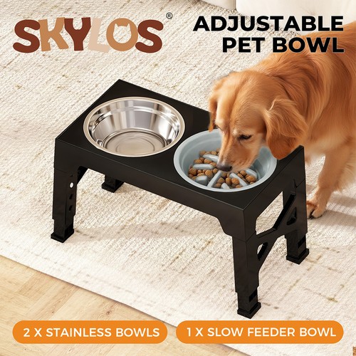 Skylos dog raised elevated - skylos,