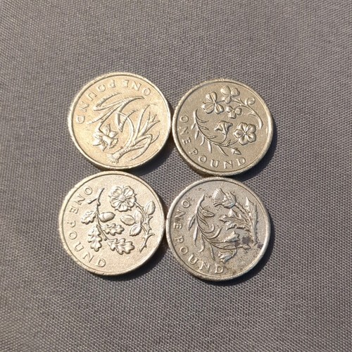 Old flower floral pound - flower,