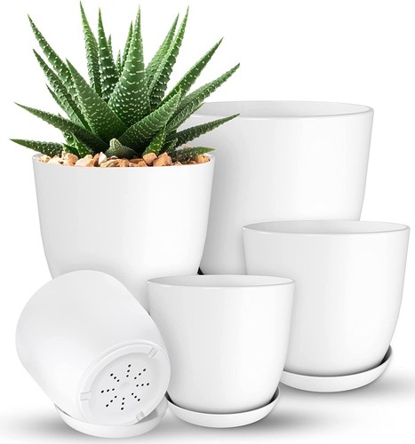 Plant pots indoor with - plant,