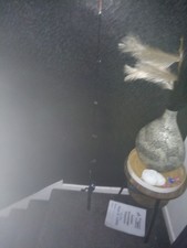 Fishing rod great for catching