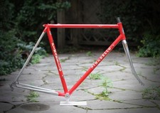 Pinarello Treviso GPX Frame /