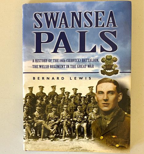 Swansea pals welsh - pals,