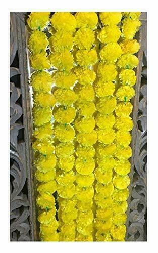 Indian hanging marigold - indian, flower