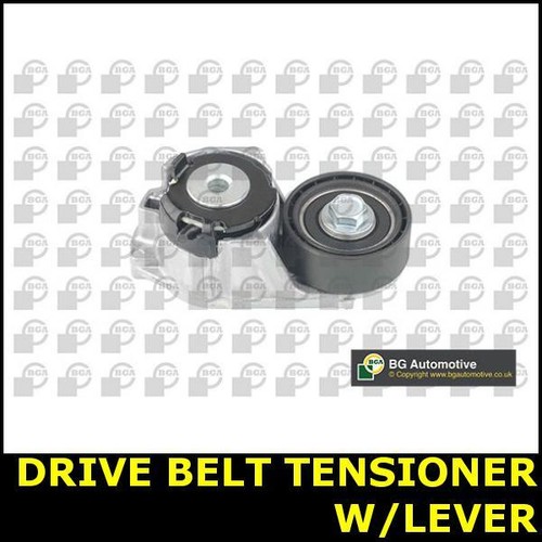 Belt tensioner arm - belt, water