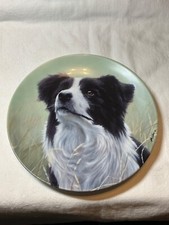 Collectible Royal Worcester Danbury Mint Yours Faithfully Border Collie Plate