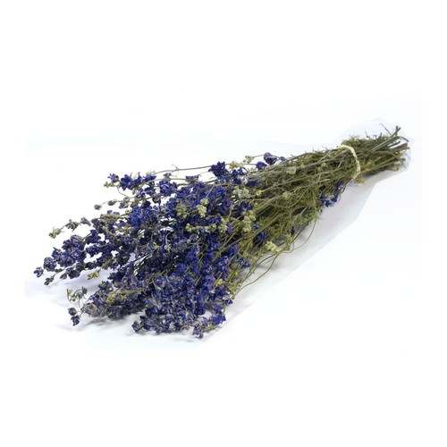 Dried bunch natural delphinium - dried,