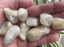10 x Prasiolite Crystal Tumble Stones  Joblot Bulk Buy Approx 106gm
