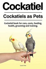 Cockatiel Cockatiels as Pets -
