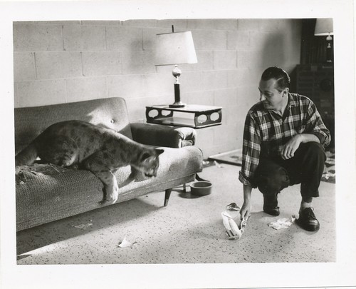 Real tiger with man - real,