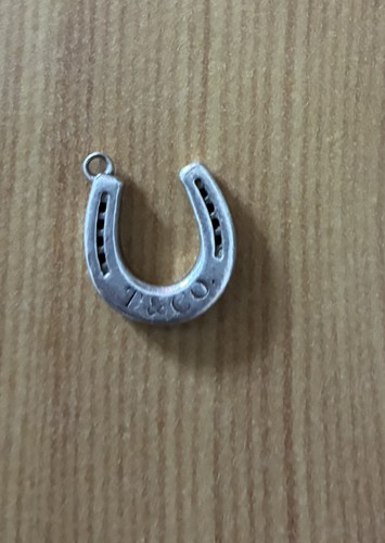 Tiffany lucky horseshoe - &, co