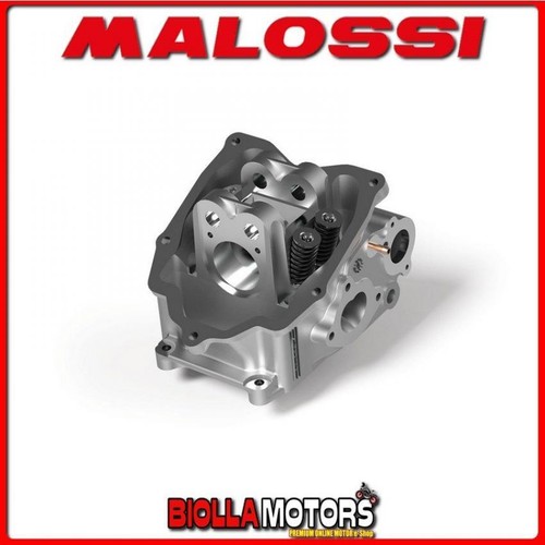 3813273 malossi head - v4,