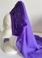 Tudor French Hood Renaissance