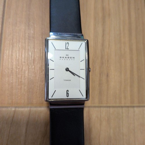 Skagen titanium japan limited - skagen,