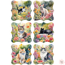 6 x Watercolour Cat Garden