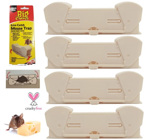 4pack humane mouse - 2/4pack,