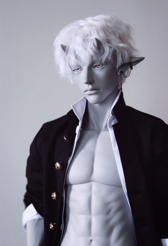 Bjd doll garion human - 1/3, sd