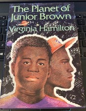 The Planet of Junior Brown by
