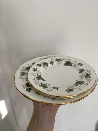 Duchess ivy 509 fine bone - fine,
