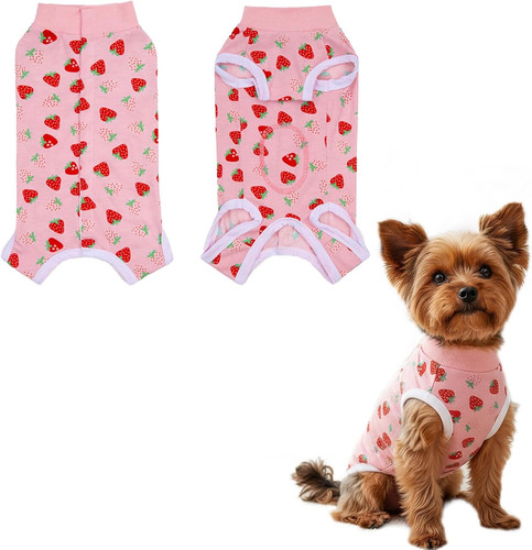 Pink dog surgery - dog,