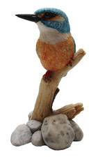 Border Fine Arts Stream