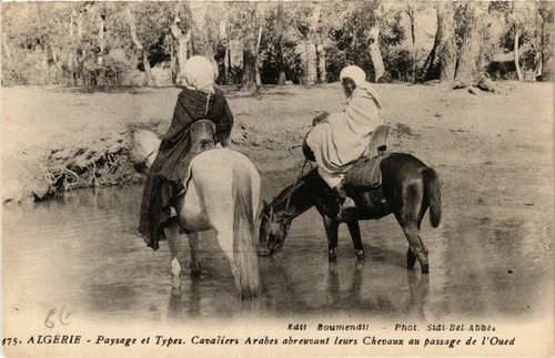Old postcard algeria - ak,