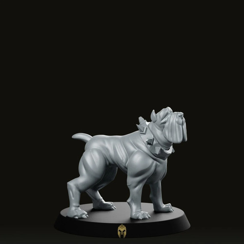 Companion mastin dog miniature - dog,