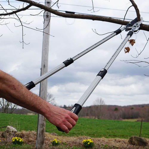Ratcheting bypass pruning - bypass,