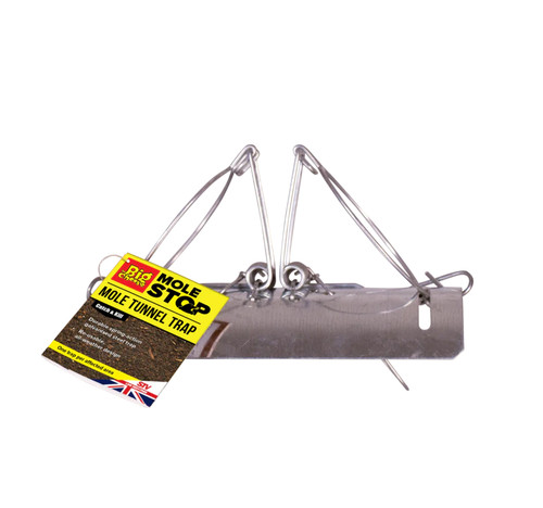 The big cheese mole - the, tunnel