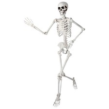 Halloween Poseable Skeleton Decoration Realistic Bones Indoor Outdoor 40–150cm