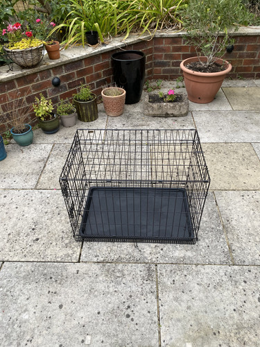 Small collapsible dog - small,