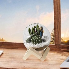 Glass Flowerpot Bonsai Pot