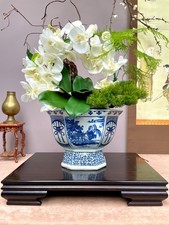 Elegant Orchid Blue and White