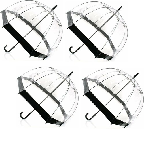 Large clear dome see - dome, through