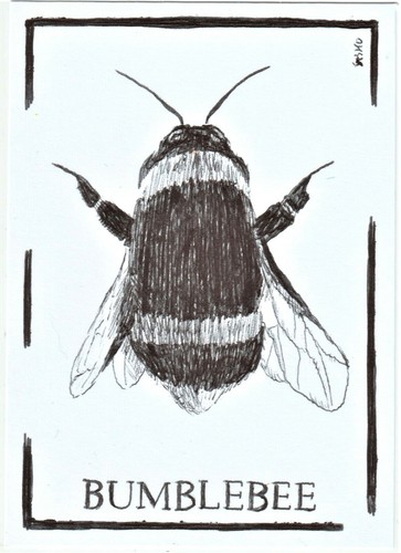Aceo art sketch - art,